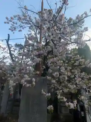 上千葉香取神社(東京都)