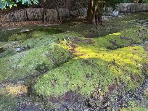 善能寺(京都府)