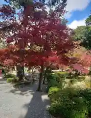 大原野神社の景色