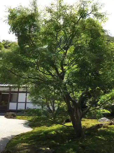 長壽寺（長寿寺）のその他建物