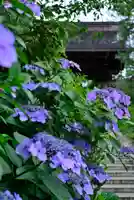 高幡不動尊 金剛寺(東京都)