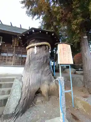 白根神明社(神奈川県)