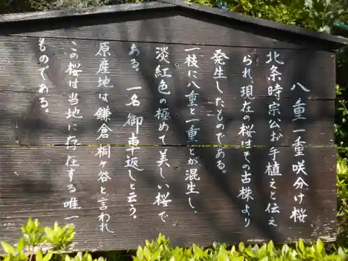 極楽寺（霊鷲山感應院極楽律寺）の歴史