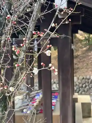 群馬県護国神社(群馬県)