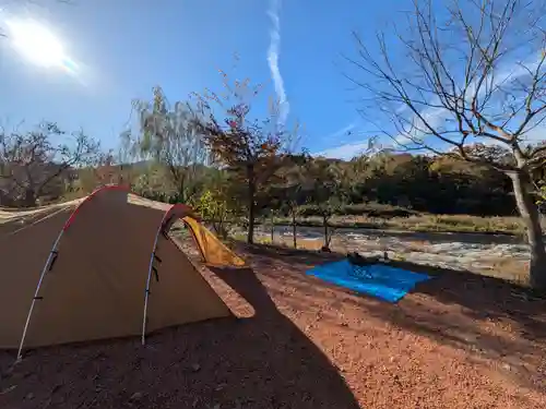 秩父神社(埼玉県)