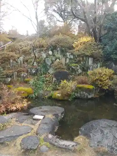 達磨寺(群馬県)