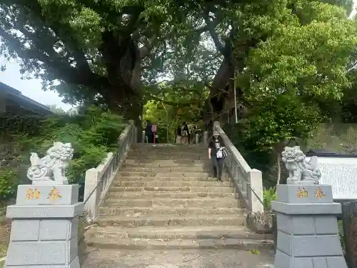 山王神社の{uncategorized: "未分類", other: "その他", undefined: "問題あり", building: "その他建物", grave: "お墓", sacred_gate: "鳥居", guardian: "狛犬", statue: "像", buddha: "仏像", history: "歴史", nature: "自然", garden: "庭園", animal: "動物", pagoda: "塔", temizu: "手水舎", mountain_gate: "山門・神門", sanctuary: "本殿・本堂", subordinate: "末社・摂社", art: "芸術", scenery: "景色", jizo: "地蔵", ema: "絵馬", goshuin: "御朱印", omikuji: "おみくじ", items: "授与品その他", amulet: "お守り", goshuincho: "御朱印帳", eats: "食事", festival: "お祭り", votive_dance: "神楽", shichigosan: "七五三参", wedding: "結婚式", experience: "体験その他", initially: "初詣", around: "周辺", anti_infection: "感染症対策"}