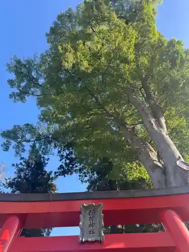 稲村神社(山梨県)