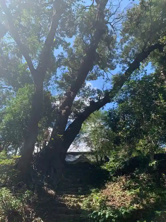 愛宕神社のその他建物