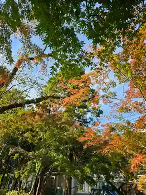 東漸寺(千葉県)