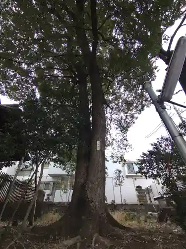 須賀神社(東京都)