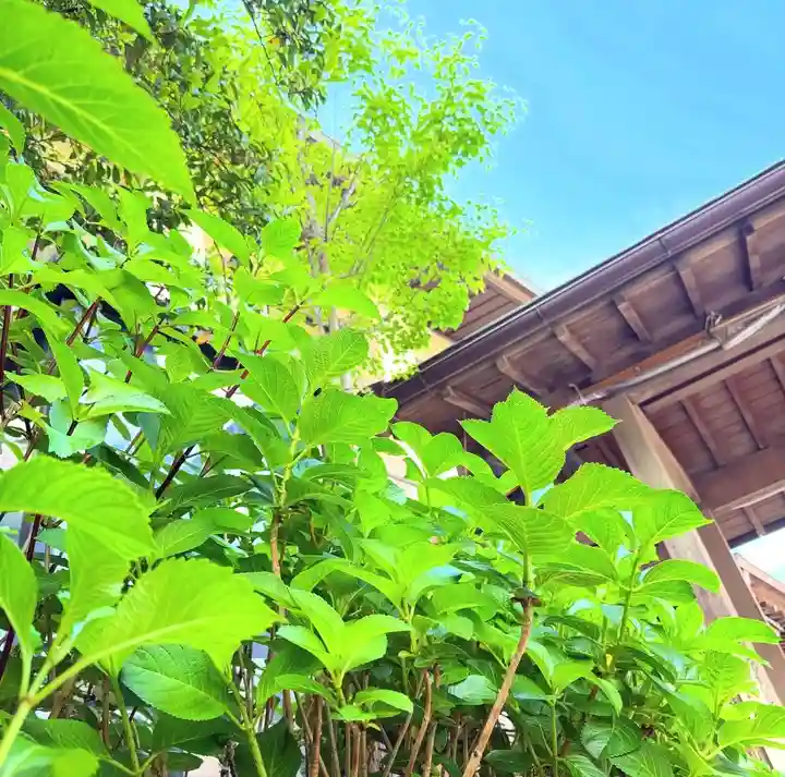 十日恵比須神社(福岡県)