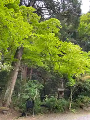 龍華寺(広島県)