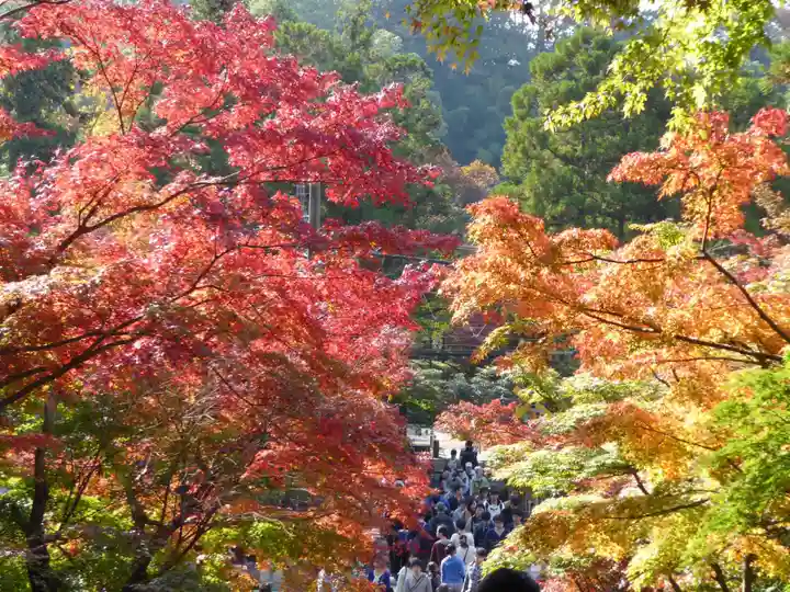 円覚寺(神奈川県)