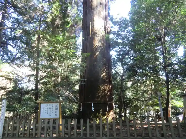 天岩戸神社(宮崎県)