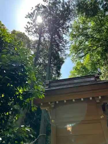 岩槻久伊豆神社(埼玉県)