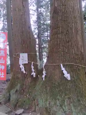 羽黒山神社(栃木県)
