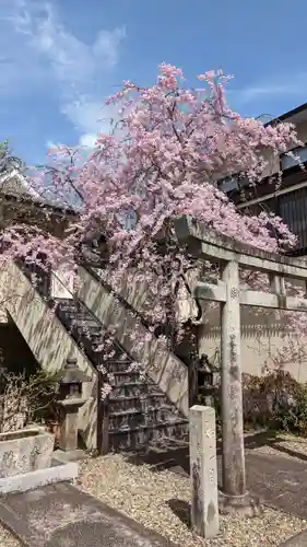 善行院(京都府)