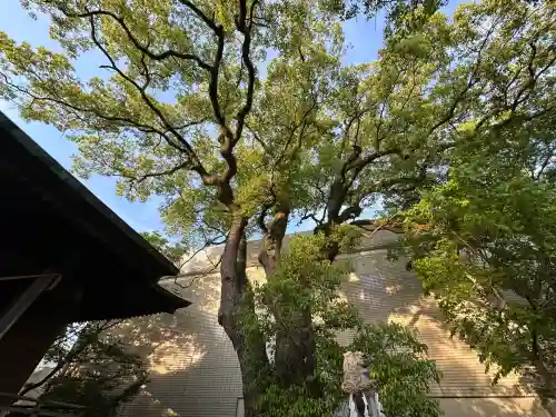 貴布禰神社(静岡県)