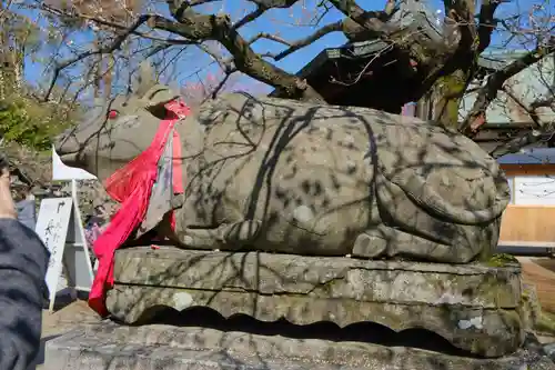 北野天満宮の狛犬