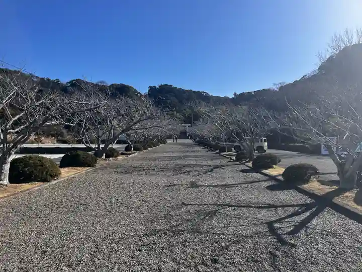 安房神社(千葉県)