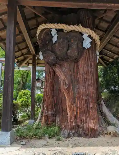 大直禰子神社(奈良県)