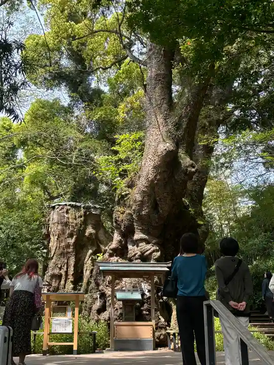 來宮神社(静岡県)