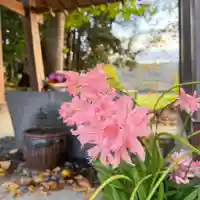 高司神社〜むすびの神の鎮まる社〜(福島県)