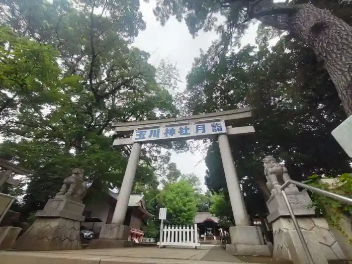 玉川神社の鳥居