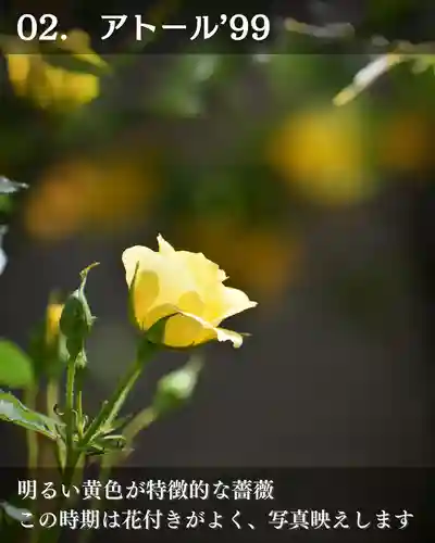 宝光寺(北海道)