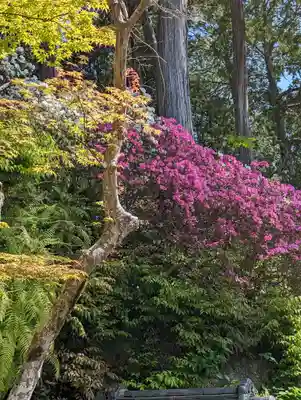 三室戸寺(京都府)