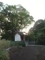 尾崎天神宮(千葉県)