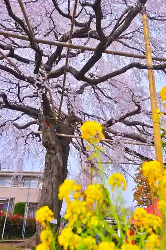 栗谷須賀神社(神奈川県)