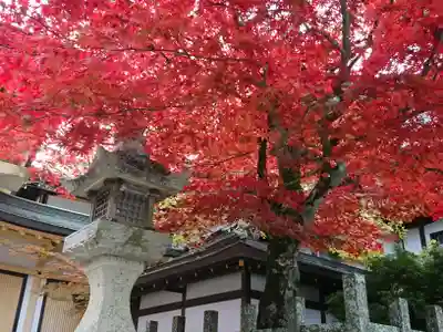 壇上伽藍のその他建物
