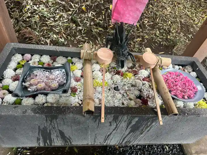 下野 星宮神社の{uncategorized: "未分類", other: "その他", undefined: "問題あり", building: "その他建物", grave: "お墓", sacred_gate: "鳥居", guardian: "狛犬", statue: "像", buddha: "仏像", history: "歴史", nature: "自然", garden: "庭園", animal: "動物", pagoda: "塔", temizu: "手水舎", mountain_gate: "山門・神門", sanctuary: "本殿・本堂", subordinate: "末社・摂社", art: "芸術", scenery: "景色", jizo: "地蔵", ema: "絵馬", goshuin: "御朱印", omikuji: "おみくじ", items: "授与品その他", amulet: "お守り", goshuincho: "御朱印帳", eats: "食事", festival: "お祭り", votive_dance: "神楽", shichigosan: "七五三参", wedding: "結婚式", experience: "体験その他", initially: "初詣", around: "周辺", anti_infection: "感染症対策"}