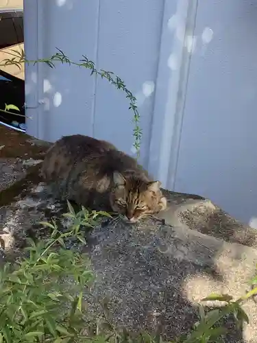 三輪神社の動物