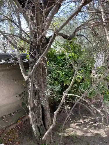 宝蔵寺のその他建物