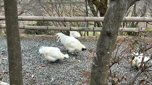 高屋敷稲荷神社(福島県)