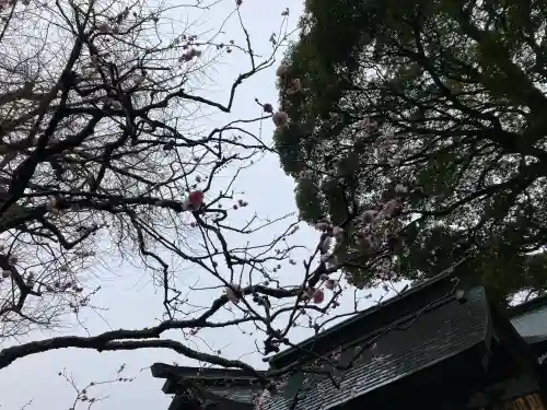 荏柄天神社の{uncategorized: "未分類", other: "その他", undefined: "問題あり", building: "その他建物", grave: "お墓", sacred_gate: "鳥居", guardian: "狛犬", statue: "像", buddha: "仏像", history: "歴史", nature: "自然", garden: "庭園", animal: "動物", pagoda: "塔", temizu: "手水舎", mountain_gate: "山門・神門", sanctuary: "本殿・本堂", subordinate: "末社・摂社", art: "芸術", scenery: "景色", jizo: "地蔵", ema: "絵馬", goshuin: "御朱印", omikuji: "おみくじ", items: "授与品その他", amulet: "お守り", goshuincho: "御朱印帳", eats: "食事", festival: "お祭り", votive_dance: "神楽", shichigosan: "七五三参", wedding: "結婚式", experience: "体験その他", initially: "初詣", around: "周辺", anti_infection: "感染症対策"}