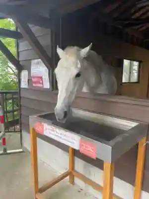 鹿児島神宮(鹿児島県)