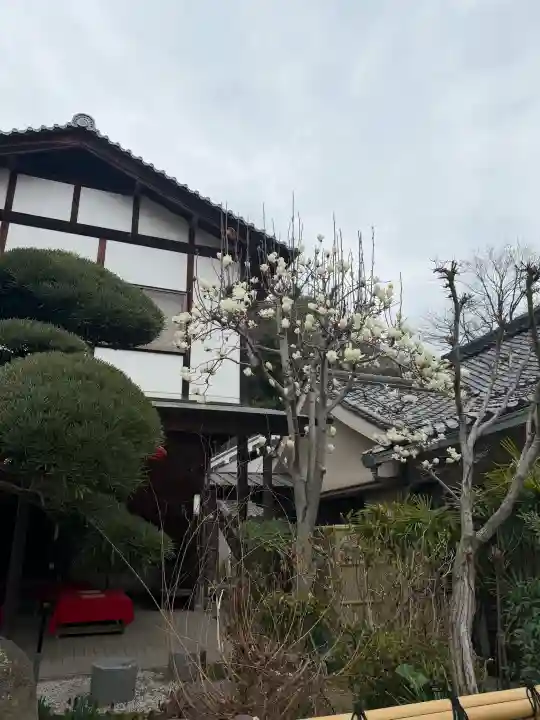 慈眼寺の{uncategorized: "未分類", other: "その他", undefined: "問題あり", building: "その他建物", grave: "お墓", sacred_gate: "鳥居", guardian: "狛犬", statue: "像", buddha: "仏像", history: "歴史", nature: "自然", garden: "庭園", animal: "動物", pagoda: "塔", temizu: "手水舎", mountain_gate: "山門・神門", sanctuary: "本殿・本堂", subordinate: "末社・摂社", art: "芸術", scenery: "景色", jizo: "地蔵", ema: "絵馬", goshuin: "御朱印", omikuji: "おみくじ", items: "授与品その他", amulet: "お守り", goshuincho: "御朱印帳", eats: "食事", festival: "お祭り", votive_dance: "神楽", shichigosan: "七五三参", wedding: "結婚式", experience: "体験その他", initially: "初詣", around: "周辺", anti_infection: "感染症対策"}