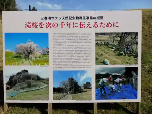 瀧桜神明宮(福島県)