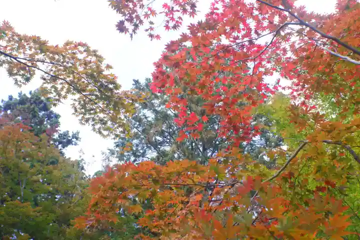 大原野神社(京都府)