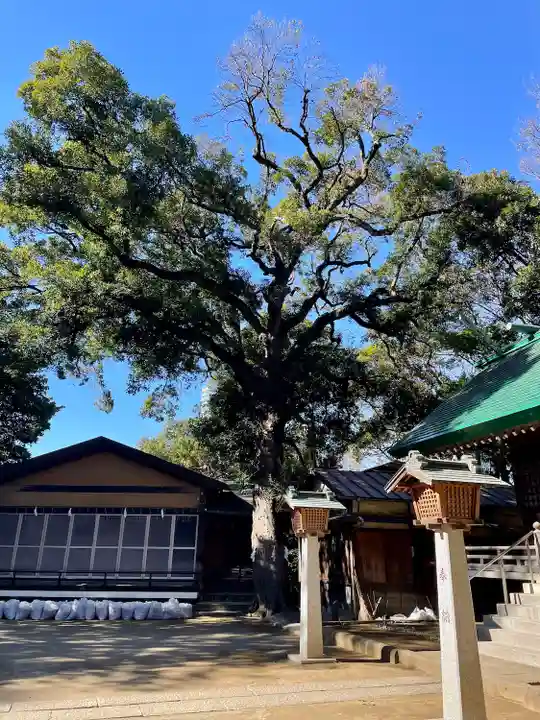 上野毛稲荷神社(東京都)