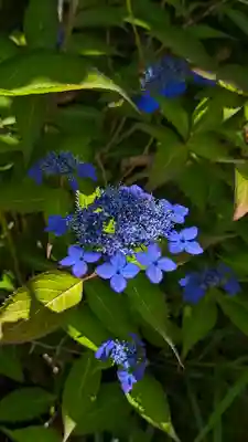 尊陽院(京都府)