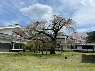宝聚院(京都府)