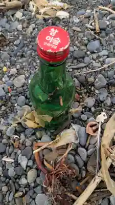 金比羅神社の庭園