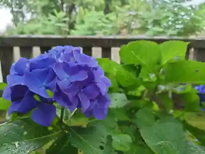 今宮神社 十二支社(栃木県)