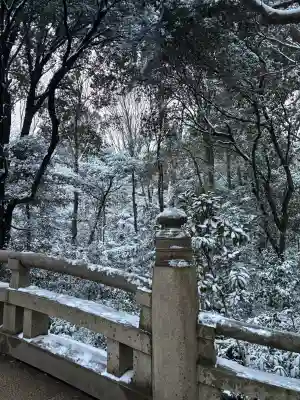 明治神宮の{uncategorized: "未分類", other: "その他", undefined: "問題あり", building: "その他建物", grave: "お墓", sacred_gate: "鳥居", guardian: "狛犬", statue: "像", buddha: "仏像", history: "歴史", nature: "自然", garden: "庭園", animal: "動物", pagoda: "塔", temizu: "手水舎", mountain_gate: "山門・神門", sanctuary: "本殿・本堂", subordinate: "末社・摂社", art: "芸術", scenery: "景色", jizo: "地蔵", ema: "絵馬", goshuin: "御朱印", omikuji: "おみくじ", items: "授与品その他", amulet: "お守り", goshuincho: "御朱印帳", eats: "食事", festival: "お祭り", votive_dance: "神楽", shichigosan: "七五三参", wedding: "結婚式", experience: "体験その他", initially: "初詣", around: "周辺", anti_infection: "感染症対策"}