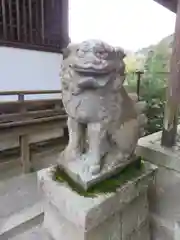 白髭神社の狛犬